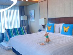 -上海浦东嘉里大酒店