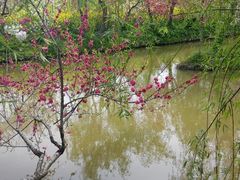 android_upload_pic-南汇桃花村
