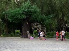 -关东文化园