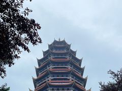 -铁山坪森林公园