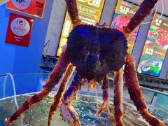 帝王蟹-蟹之国·精品蟹料理(极地店)