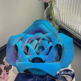 浪漫有几种呢⁉️送你玫瑰算不算其中一种