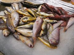 -健眺小海鲜(临海后山店)