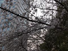 -玛格萝妮比萨屋(四平店)