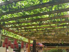 -砂唐居(总店)