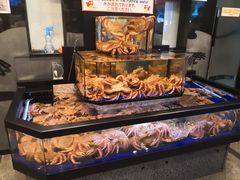 -蟹道乐(道顿堀本店)