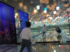 -北戴河集发农业梦想王国