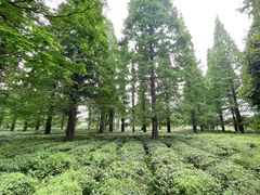 -宝岩生态观光园