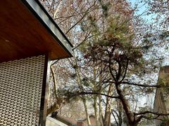 -西安电影制片厂