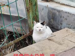 -青藏高原野生动物园