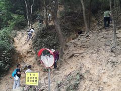 -梧桐山风景名胜区