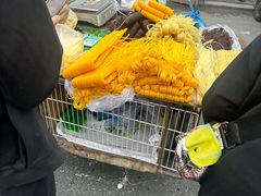 -北山公园