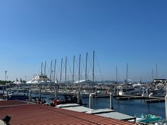 -东港音乐喷泉广场