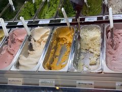 -鹤茶野所(上海首店)