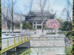 -红梅公园
