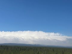 -峡谷浮石林景区