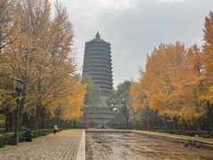 -玲珑塔公园
