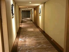 -新加坡乌节希尔顿酒店 (SG Clean)