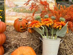 -HERRE·FARM 赫尔露营农场·团建聚会包场