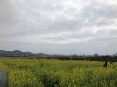 -光明小镇欢乐田园