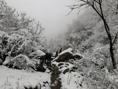 -抱龙峪