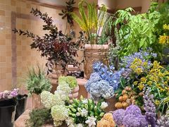 -BEAST野兽派(上海浦东嘉里城店)