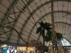 -辽宁古生物博物馆