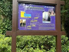 -雁荡山三折瀑景区