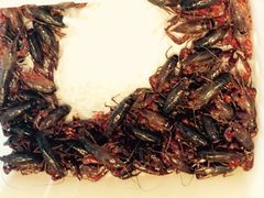 -颂福楼·南京菜(定淮门店)