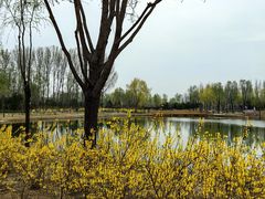 -东郊湿地公园