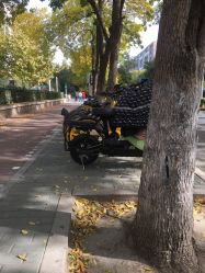 点击看大图 -木北造型