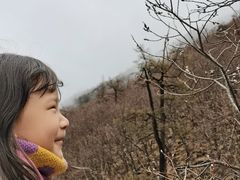 -黄龙山原始森林景区