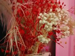 -Miss Fresh轻食(南京西路店)