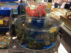 -新海渔港·胶东海鲜家常菜·家宴(奥体中心店)
