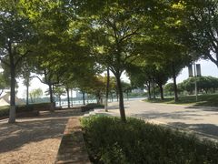 -暨阳湖生态园
