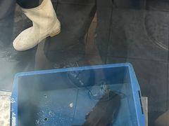 -鱼酷活鱼烤鱼(昆明路店)