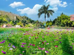 -三亚南山文化旅游区