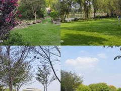 -杭州城北体育公园