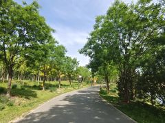 -东郊湿地公园