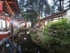 -小小饭店·休闲农庄·安吉松树林里的农家菜