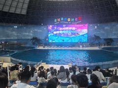 -泉城欧乐堡海洋极地世界