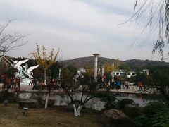 -白马涧龙池景区