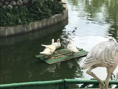 -三亚亚龙湾天域度假酒店