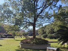 -陶祖圣境风景区