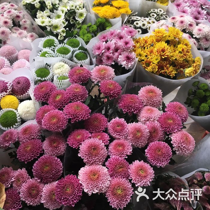斗南花市鲜花种类图片