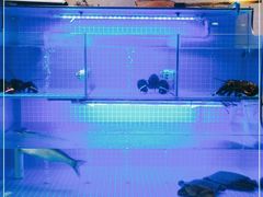 -辣螃铠盆盆蟹大排档(海昌店)