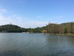 -西樵山风景名胜区-天湖公园