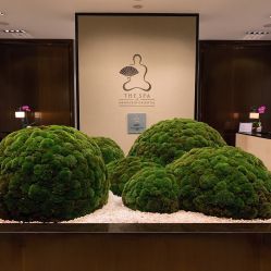 点击看大图 -广州文华东方酒店·水疗中心
