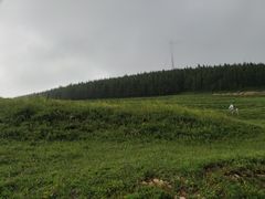 -空中草原