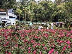 -人民公园(罗湖区)